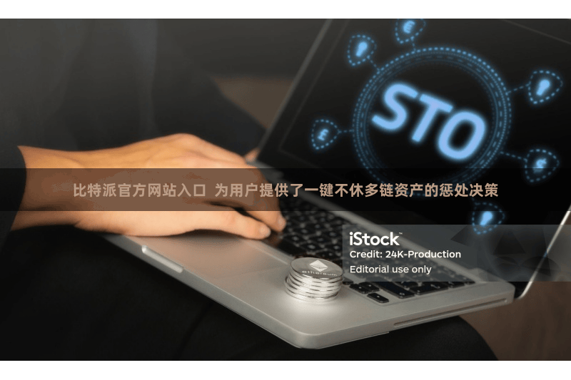 比特派官方网站入口  为用户提供了一键不休多链资产的惩处决策